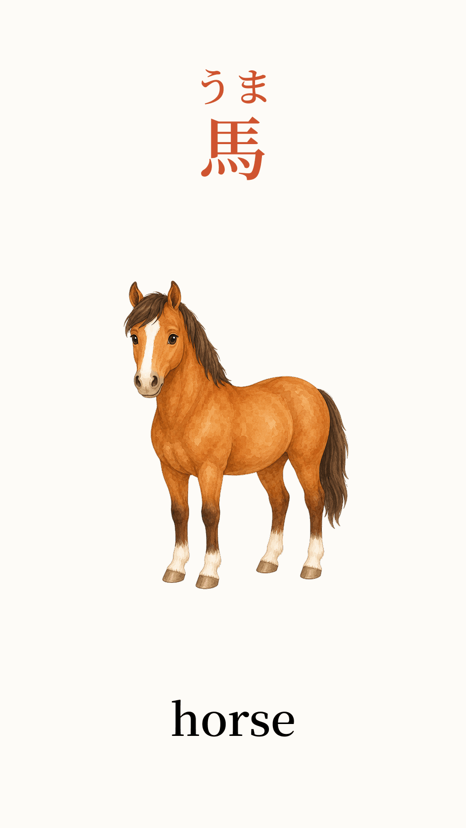 Illustration of horse for the Japanese word 馬