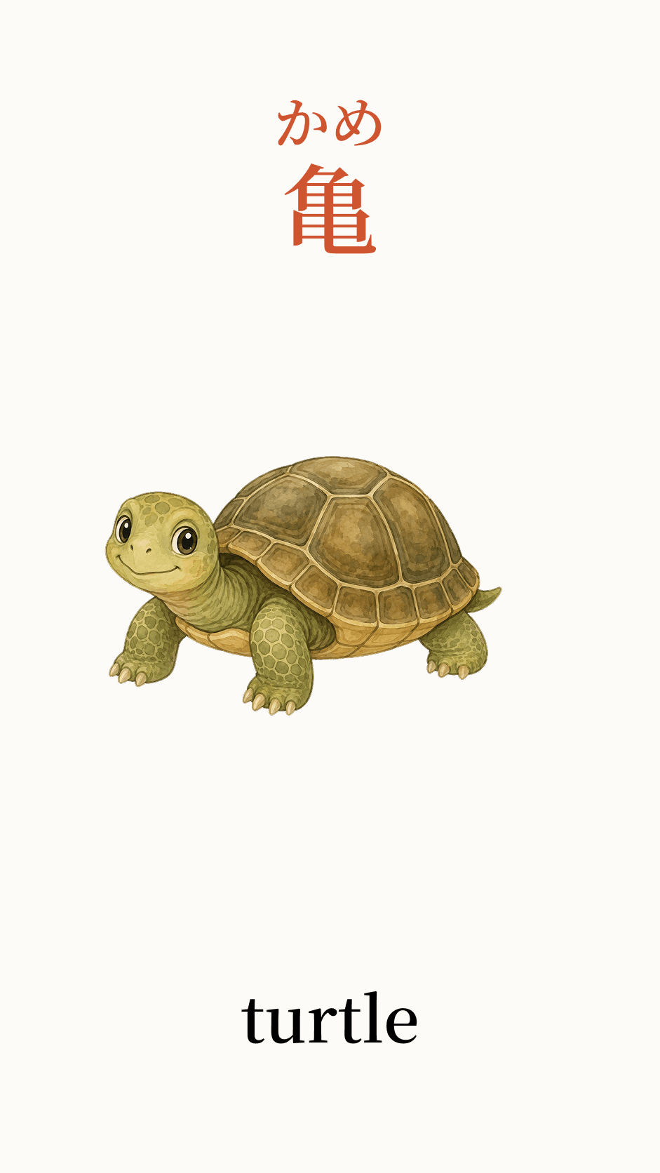 Illustration of turtle for the Japanese word 亀